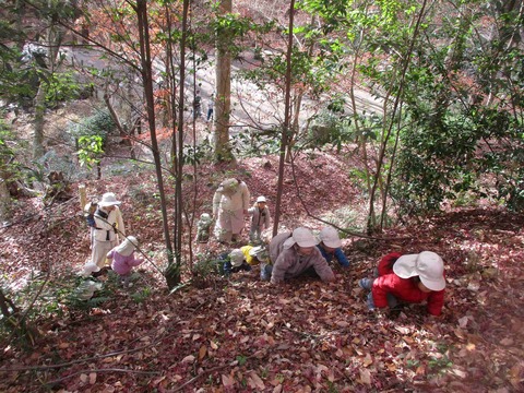 1227������6