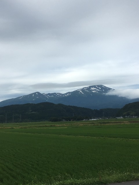 161F1519-86F9-4BDD-872A-828BF929DA69