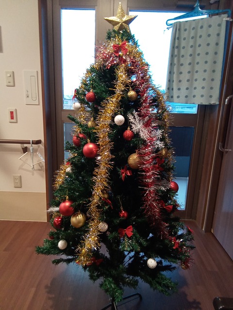 IMG_20251125_132001_908