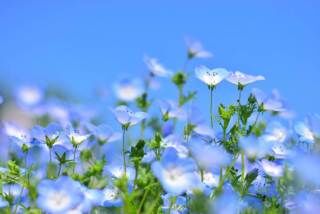 62BAC9BC-E2CB-41A7-9BC1-8D5E149C51C0