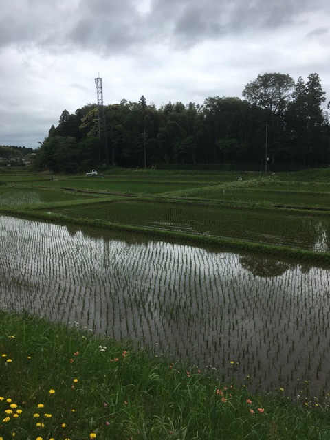 0FFAA169-1DEC-4085-B2F4-2CF922A7C8CB