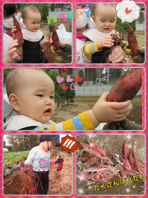 A2E013E3-1486-477B-937E-98C50BD246BD