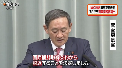 【捕鯨/日本IWC脱退】米紙NYタイムズ社説「虐殺やめよ」⇒ 外務省、反論掲載