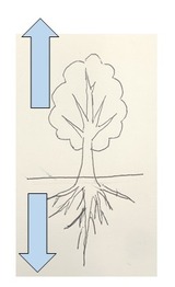 tree02