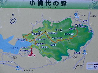 小網代の森 三浦市 15年9月 関東ご近所ネイチャースポット訪問記
