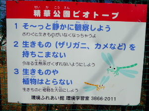 環境ふれあい館ひまわり 台東区 2017年2月 関東ご近所ネイチャースポット訪問記
