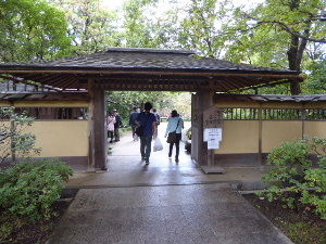 昭和記念公園 日本庭園 16年10月 関東ご近所ネイチャースポット訪問記 昭和記念公園 日本庭園 16年10月 関東ご近所ネイチャースポット訪問記
