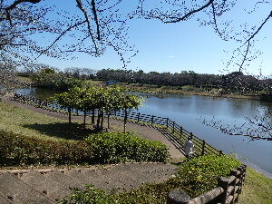 小畔水鳥の郷公園 埼玉県川越市 年11月 関東ご近所ネイチャースポット訪問記