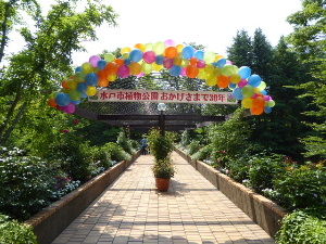 水戸市植物公園 茨城県水戸市 17年6月 関東ご近所ネイチャースポット訪問記 水戸市植物公園 茨城県水戸市 17年6月 関東ご近所ネイチャースポット訪問記