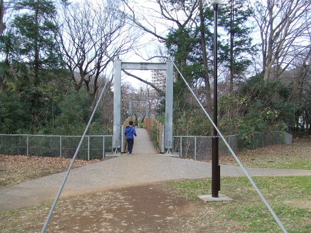 砧公園 世田谷区 15年12月 関東ご近所ネイチャースポット訪問記
