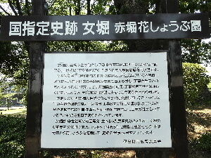 赤堀花しょうぶ園 群馬県伊勢崎市 21年6月 関東ご近所ネイチャースポット訪問記