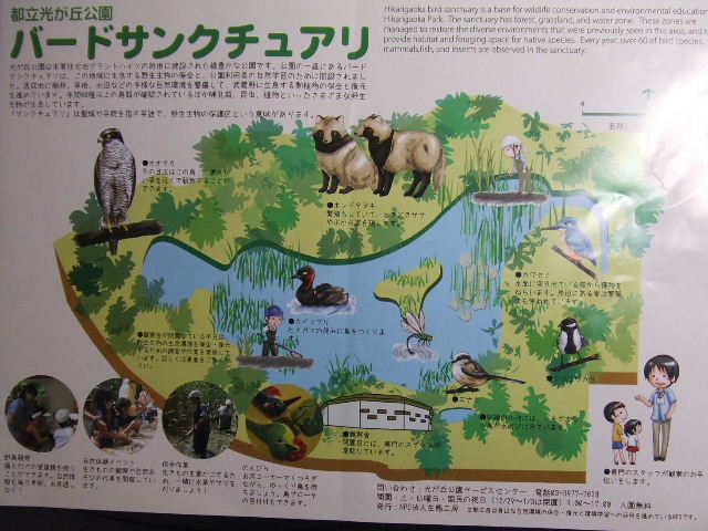 都立光が丘公園 練馬区 16年1月 関東ご近所ネイチャースポット訪問記 都立光が丘公園 練馬区 16年1月 関東ご近所ネイチャースポット訪問記