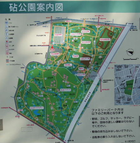 砧公園 世田谷区 15年12月 関東ご近所ネイチャースポット訪問記