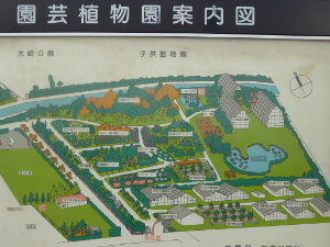 さいたま市園芸植物園 さいたま市緑区 16年3月 関東ご近所ネイチャースポット訪問記 さいたま市園芸植物園 さいたま市緑区 16年3月 関東ご近所ネイチャースポット訪問記