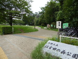 江古田の森公園 東京都中野区 17年8月 関東ご近所ネイチャースポット訪問記
