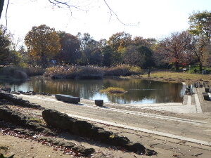 清瀬緑地公園 東京都清瀬市 19年12月 関東ご近所ネイチャースポット訪問記