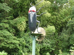 鑓水「蛍の里」ビオトープ／東京都八王子市／2020年8月 : 関東ご近所