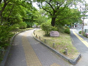 戸山公園 箱根山 東京都新宿区 17年5月 関東ご近所ネイチャースポット訪問記
