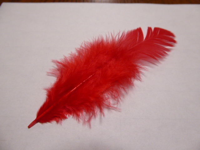 コロナ禍の気持ち新たに赤い羽根 写真俳句ブログ チーさん 初心者