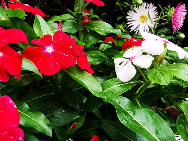 DSC05071