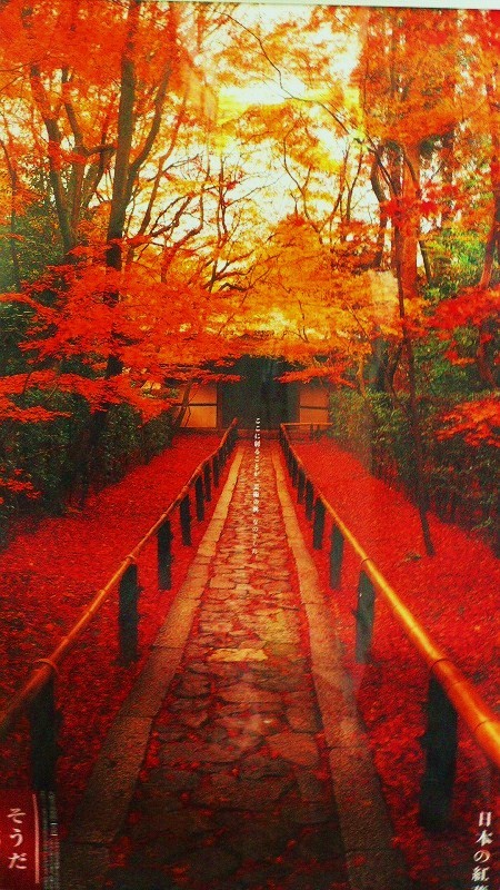 kYqNkY6bgUWR5ZO_jpuNgovLiUAgMDc2EJM