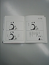 �ѥ������