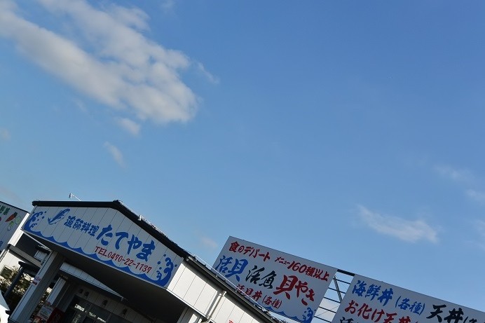 DSC_1263