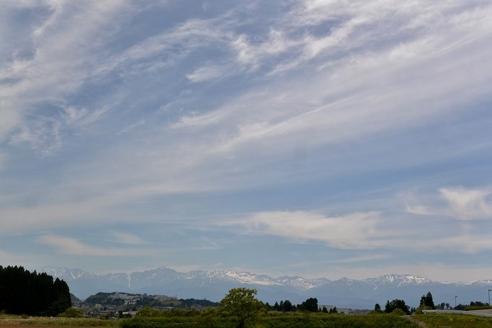 DSC_3621