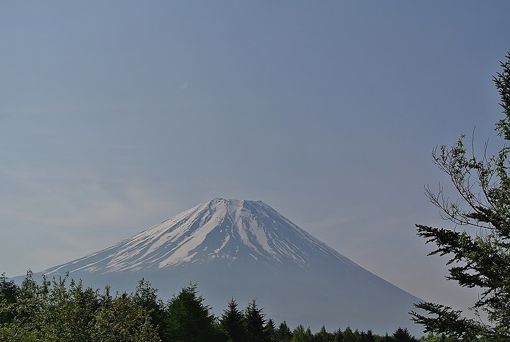 DSC_4492