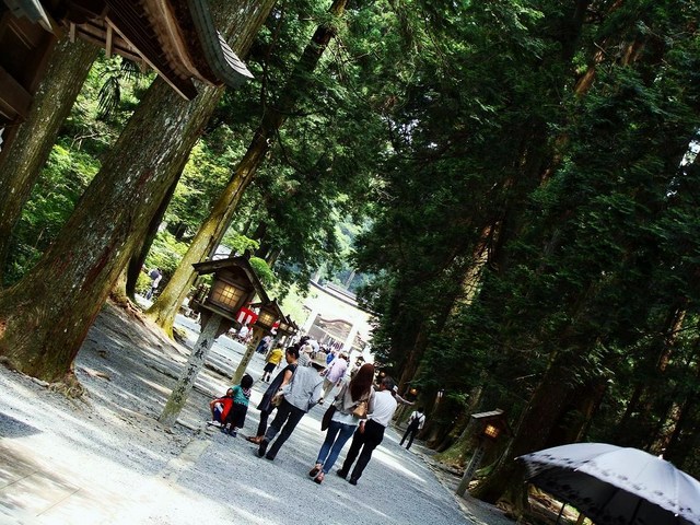 DSC04765