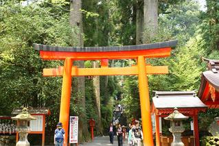 Ȣ����DSC00409