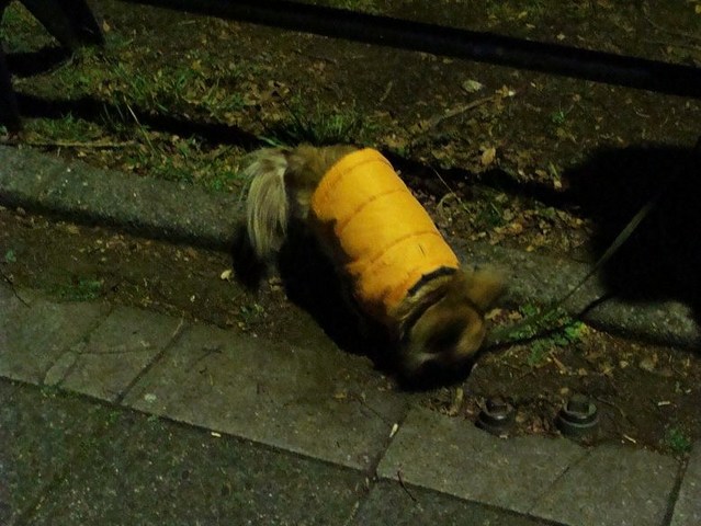 DSC00438