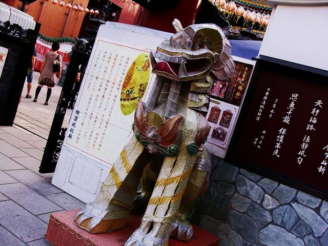 DSC05559