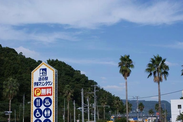 DSC04175