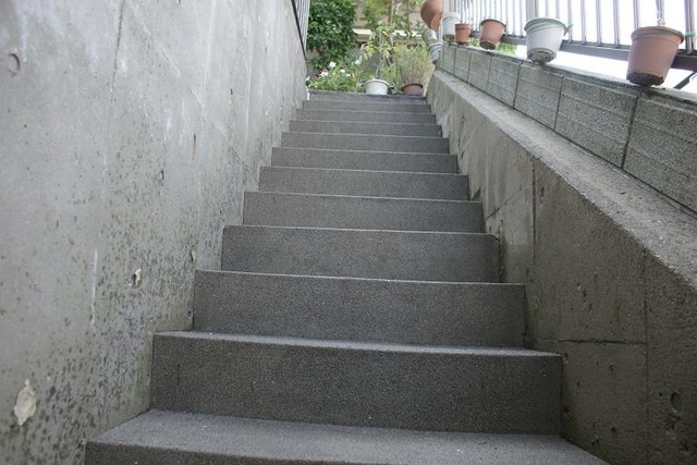 DSC04041