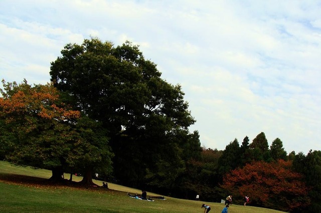 DSC05956