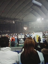 �����󲰳�