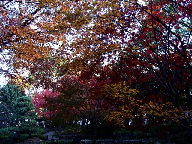 DSC09212