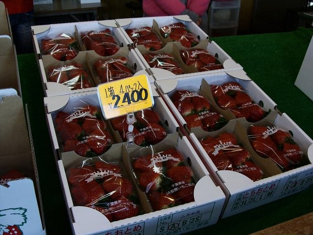 DSC00522