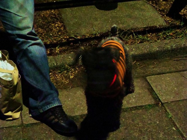 DSC00439