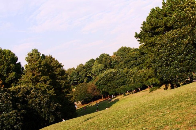 DSC05998