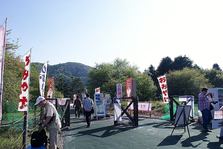 DSC07603
