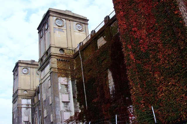 DSC05965