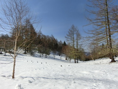 CIMG0975