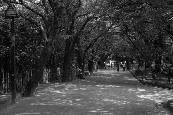 飛鳥山公園