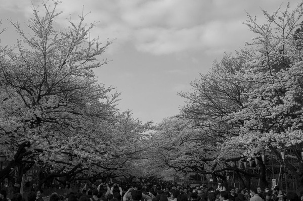 上野恩賜公園