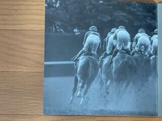 イクイノックス 第64回宝塚記念の優勝記念品が届きました : 気ままに 