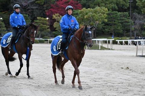 スカイスプレンダー4