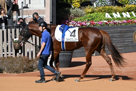 スカイスプレンダー5