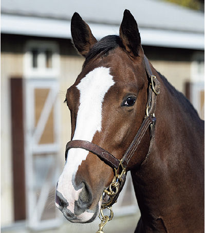 リ アンティ サージュ